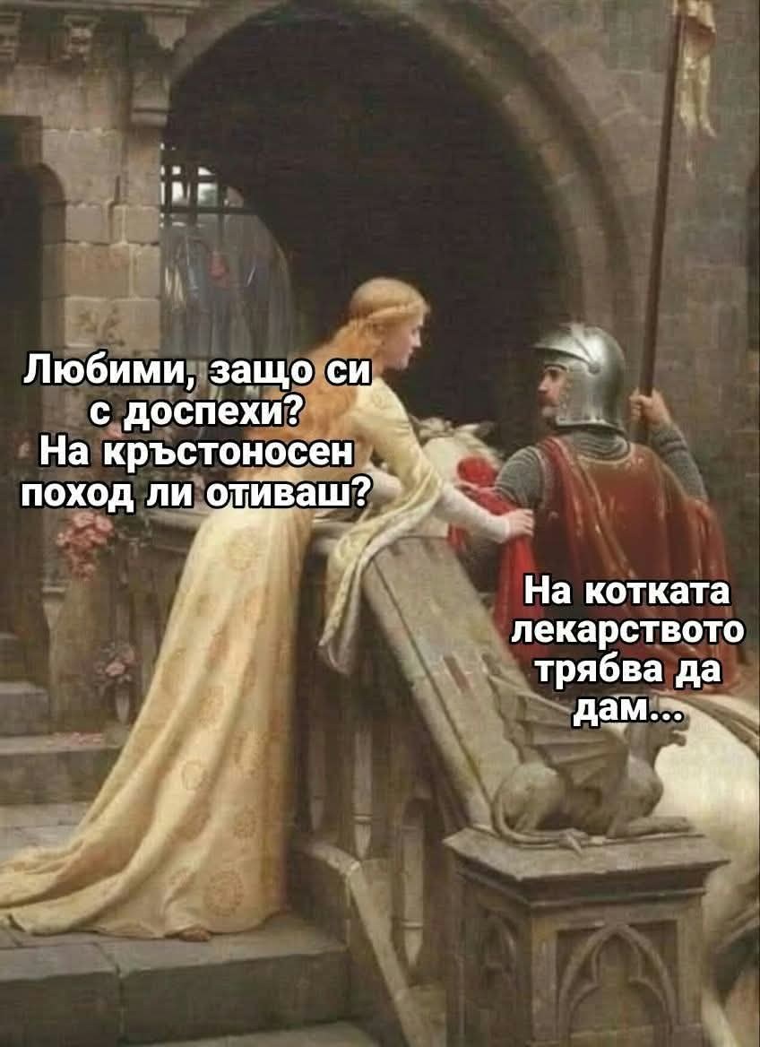 Мем: рицар с доспехи, защото трябва да даде лекарството на котката