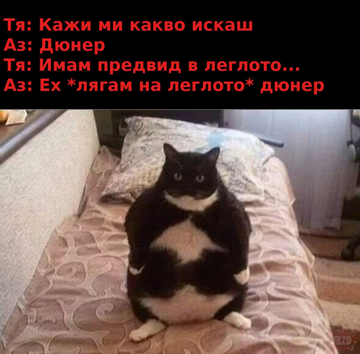 Меме с дебела котка на легло: Тя: Кажи ми какво искаш. Аз: Дюнер. Тя: Имам предвид в леглото... Аз: Ех, лягам на леглото, дюнер