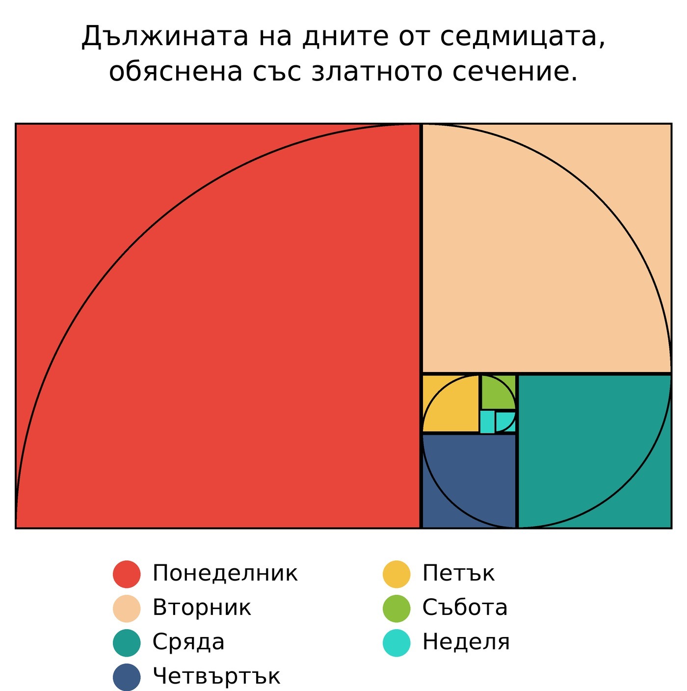 Дължината на дните от седмицата, обяснена със златното сечение: понеделникът заема почти цялата спирала, а неделята е едно малко квадратче